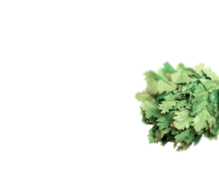 Добавьте ароматы